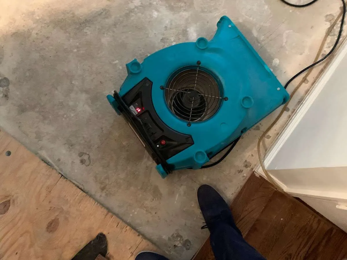 Air mover drying subfloor during Commercial Water Damage Restoration in Largo